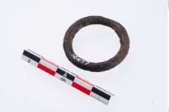 Foto von Bronzering (NHMW-PRAE-078097)